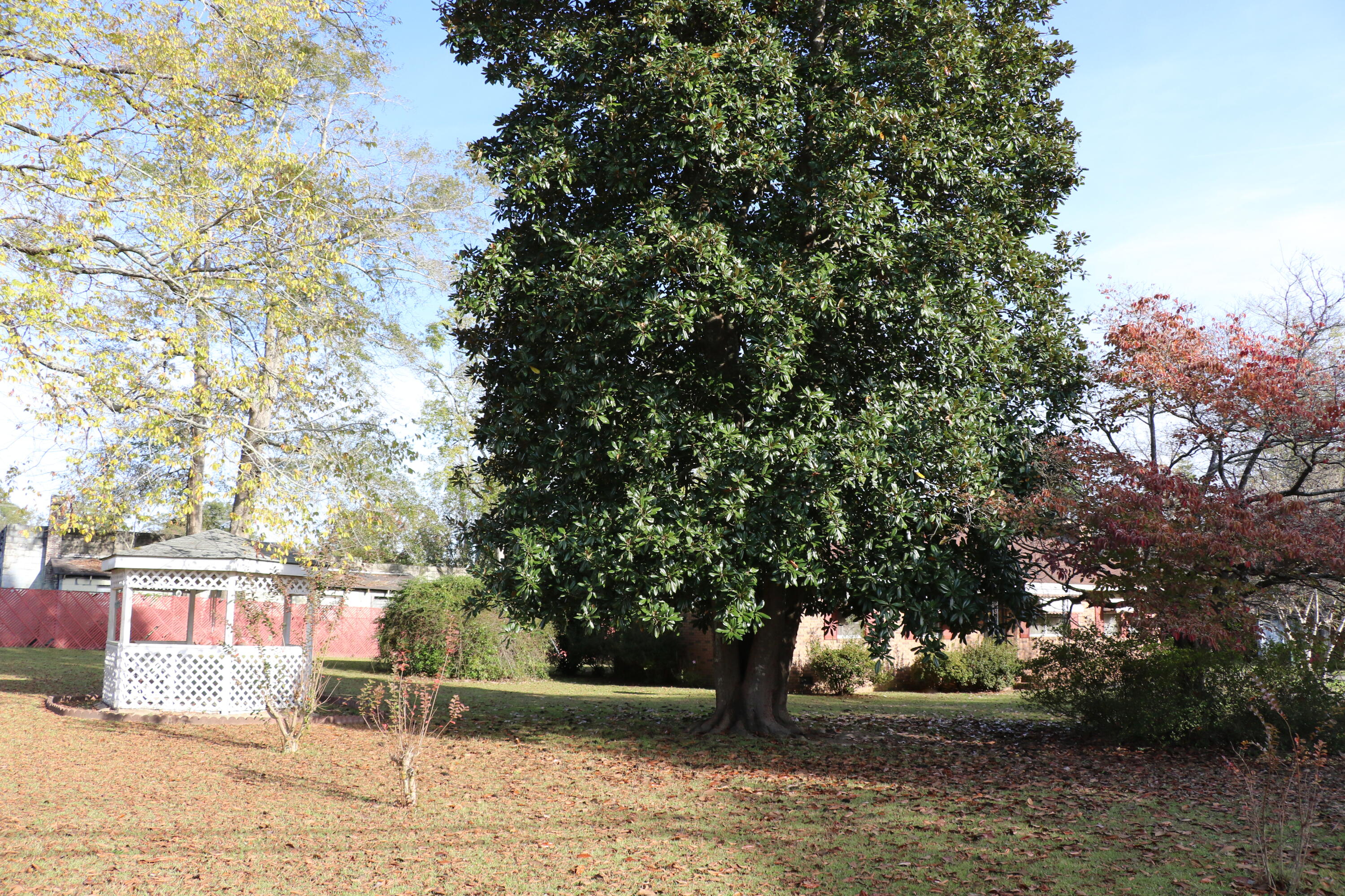 3607 Surrey Race Road Springfield, SC 29146 - Photo 29 of 39