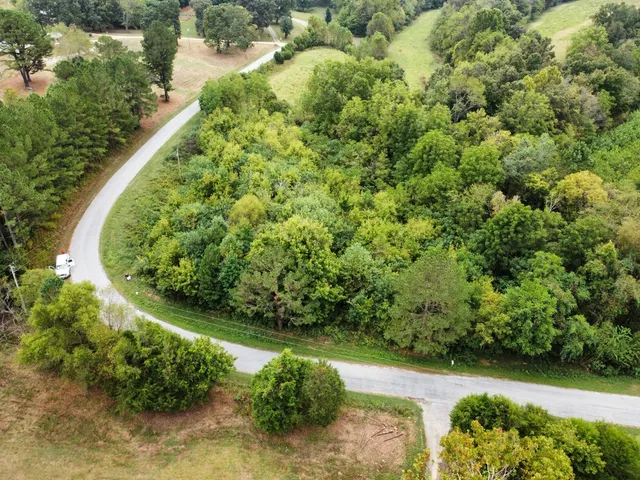 an aerial view of a house with a yard and lake view