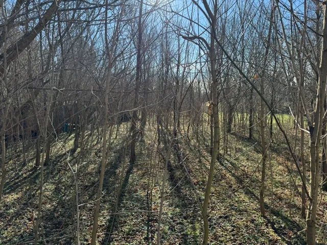 a backyard of a house with lots of green space