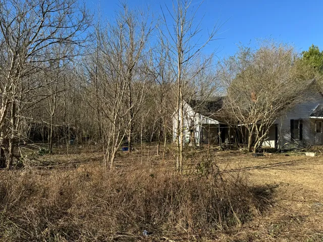 $29,500 | 1295 Fesmire Road, Cedar Grove, TN 38321