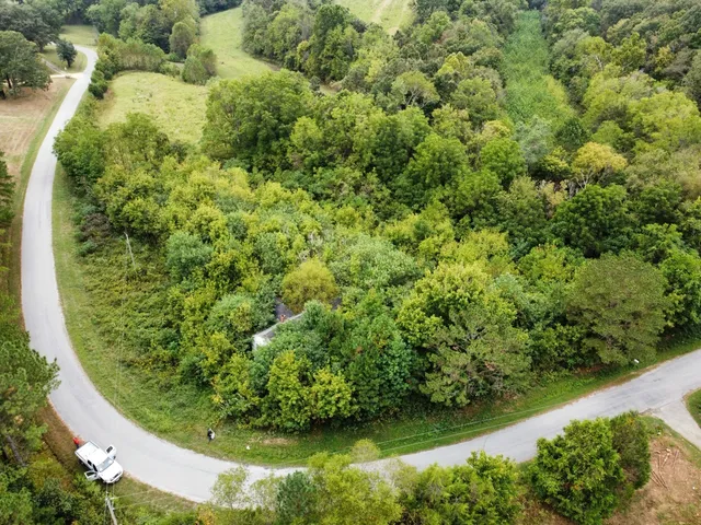 an aerial view of a residential houses with green space