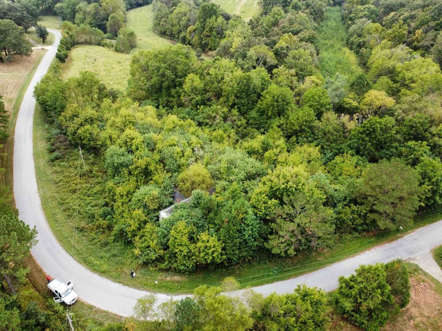 1295 Fesmire Road Cedar Grove, TN 38321 - Photo 2 of 18 Gallery Image 2
