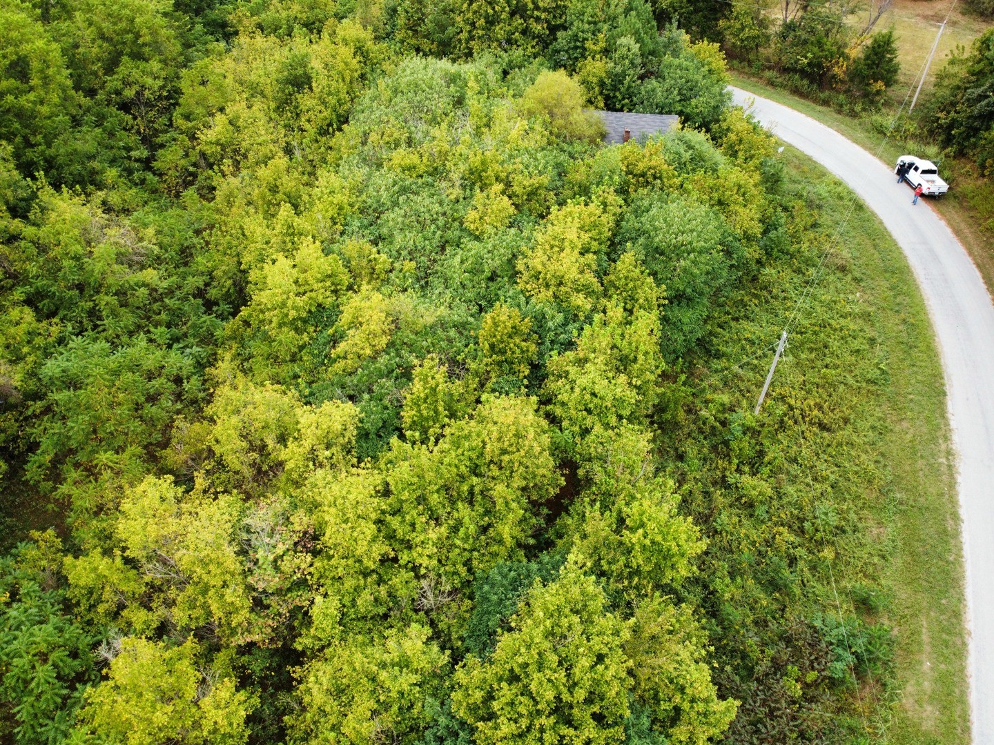 1295 Fesmire Road Cedar Grove, TN 38321 - Photo 3 of 18 Gallery Image 3