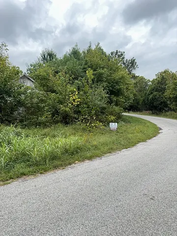 a view of a garden with a bench