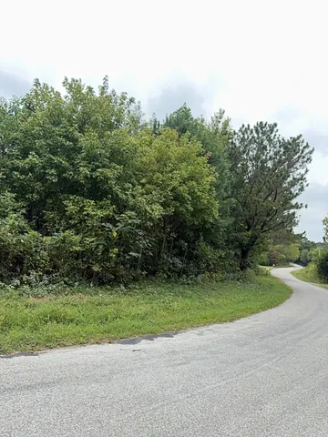 a view of a yard with a house
