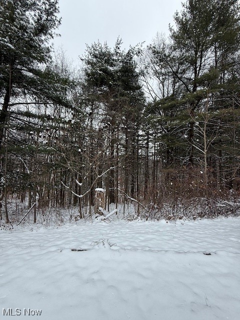 15639 Grove Road Southwest Port Washington, OH 43837 - Photo 5 of 31 View of yard covered in snow