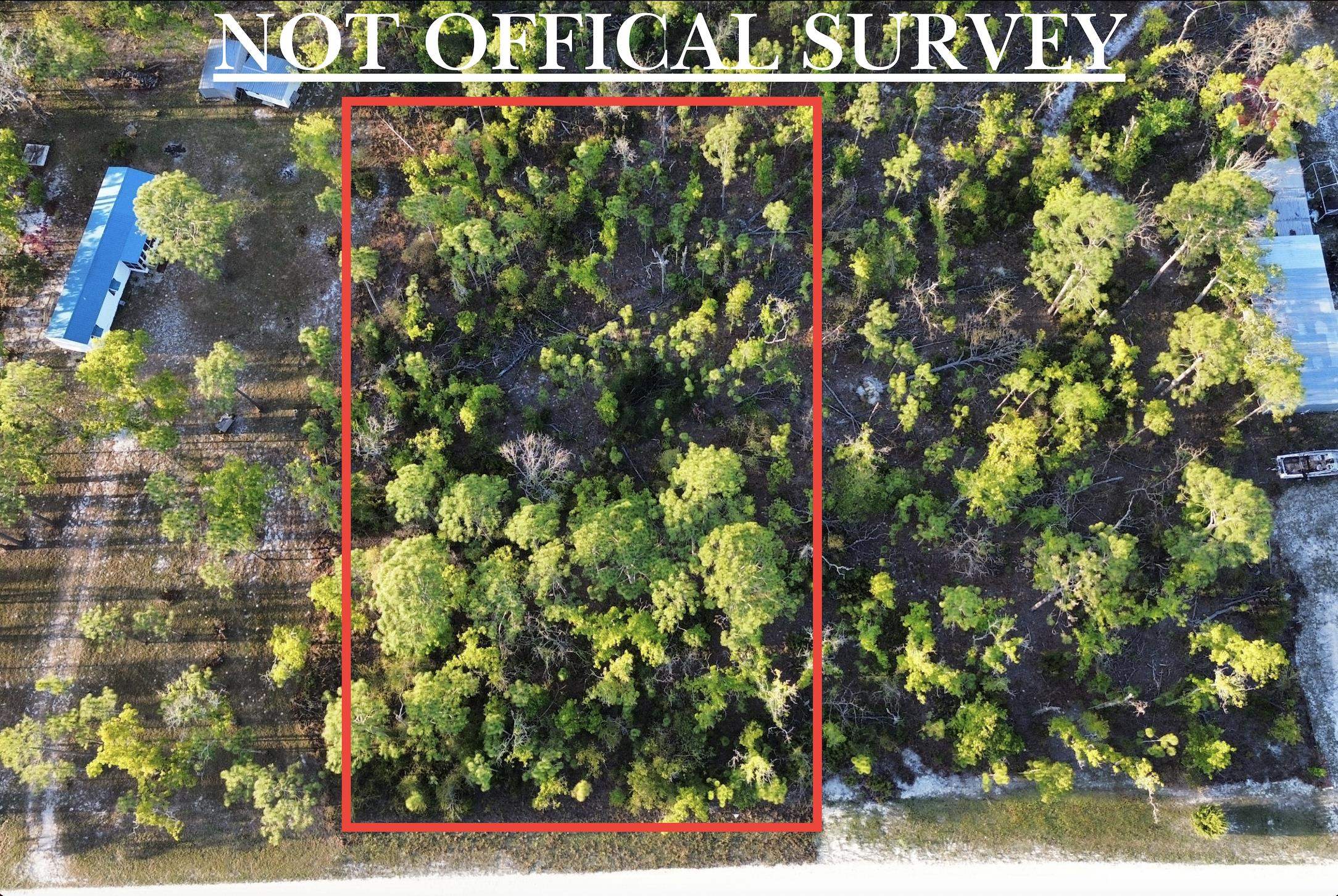 Lot 204 Post Oak Road Perry, FL 32348 - Photo 5 of 30 Gallery Image 5