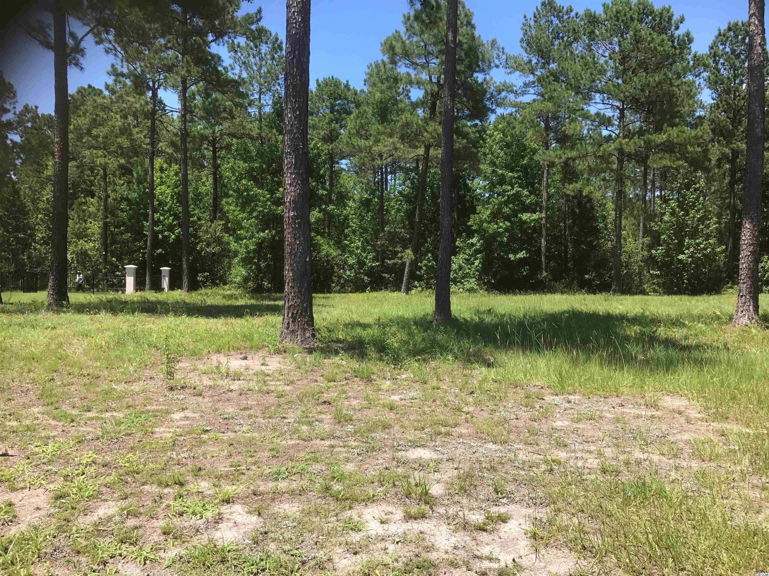 1332 Fiddlehead Way Myrtle Beach, SC 29579 - Photo 8 of 17 Gallery Image 8