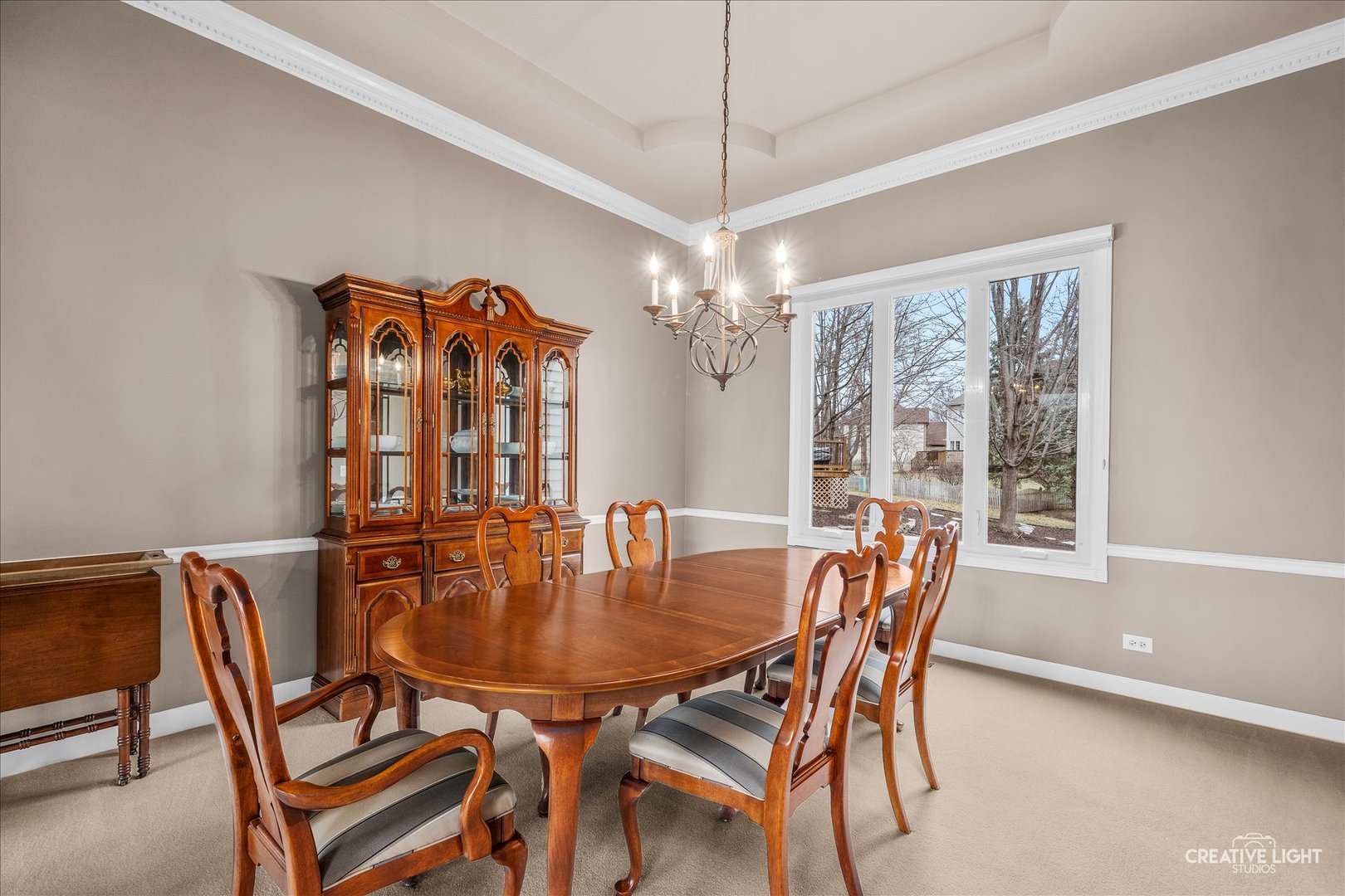 4204 Falkner Drive Naperville, IL 60564 - Photo 19 of 50