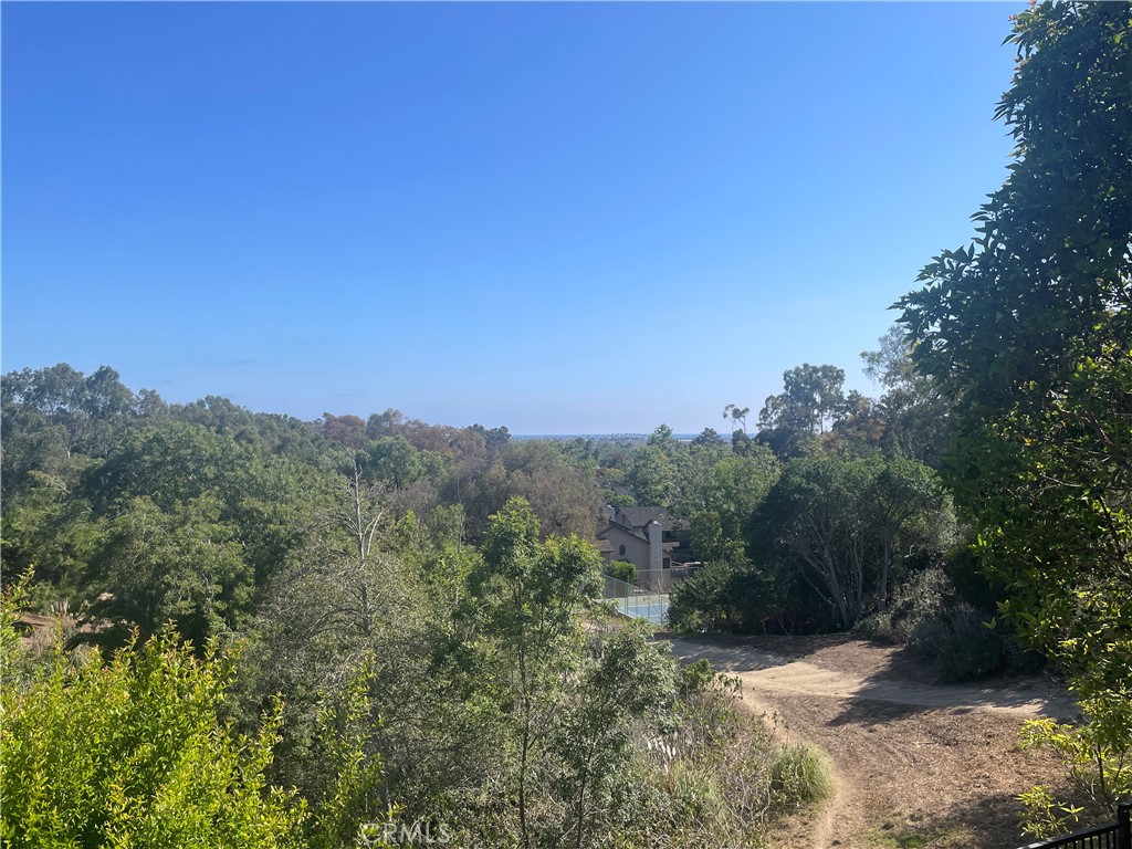 2100 Canyon Circle Costa Mesa, CA 92627 - Photo 28 of 29