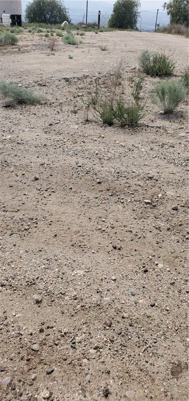 0 Vacant Newhall, CA 91321 - Photo 2 of 8 a view of a dry yard covered with trees