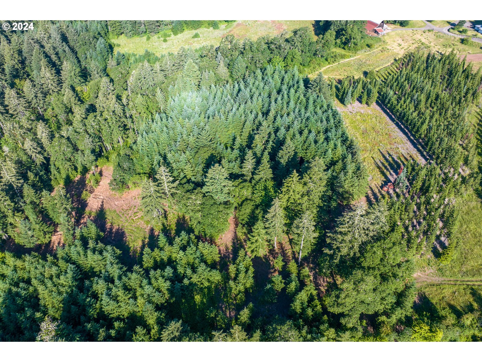 Roberts School Road Gaston, OR 97119 - Photo 13 of 37 a view of a forest