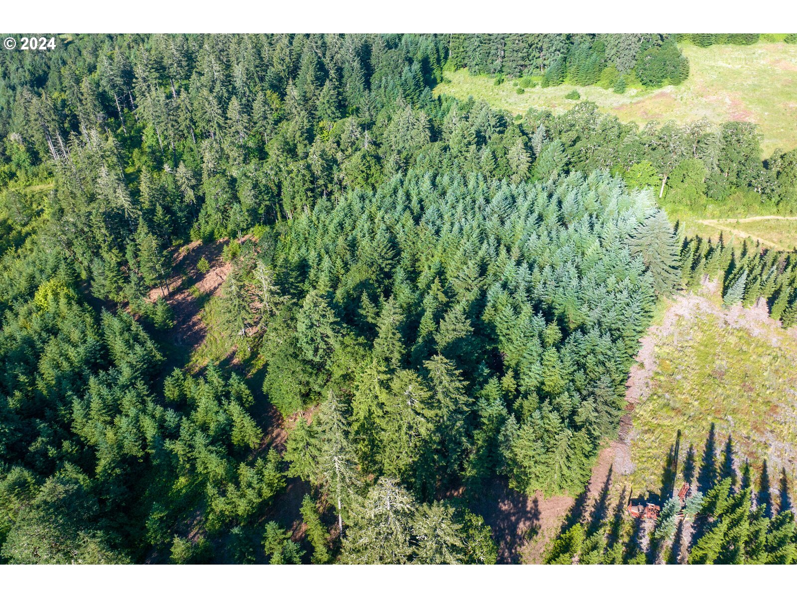 Roberts School Road Gaston, OR 97119 - Photo 14 of 37 a view of a forest with a street