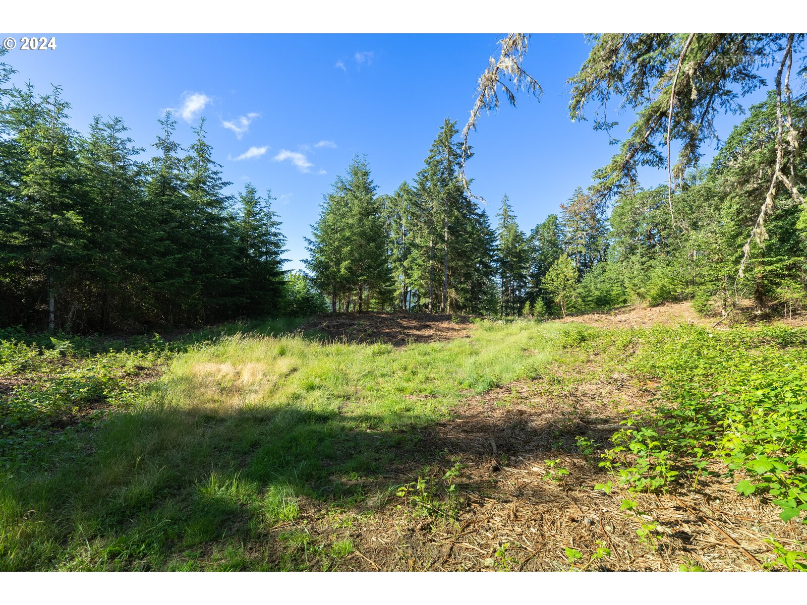 Roberts School Road Gaston, OR 97119 - Photo 21 of 37 a view of a yard with plants and a bench