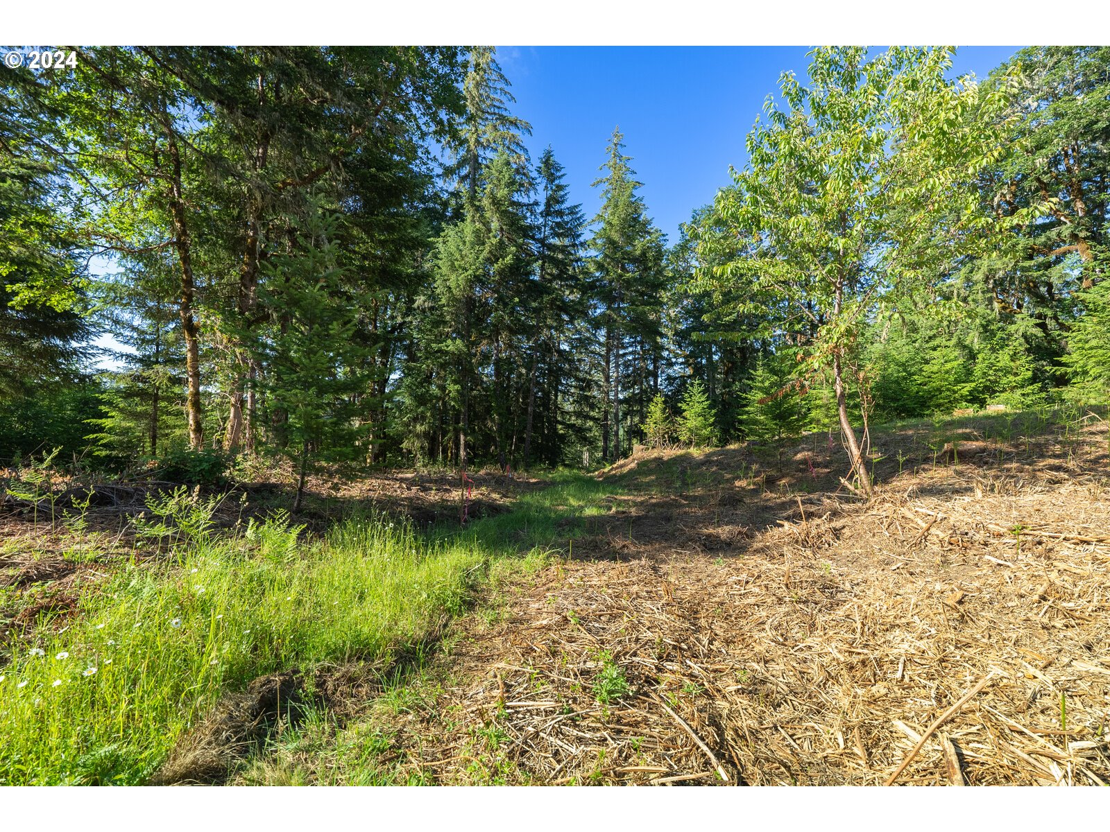 Roberts School Road Gaston, OR 97119 - Photo 26 of 37 a view of a yard