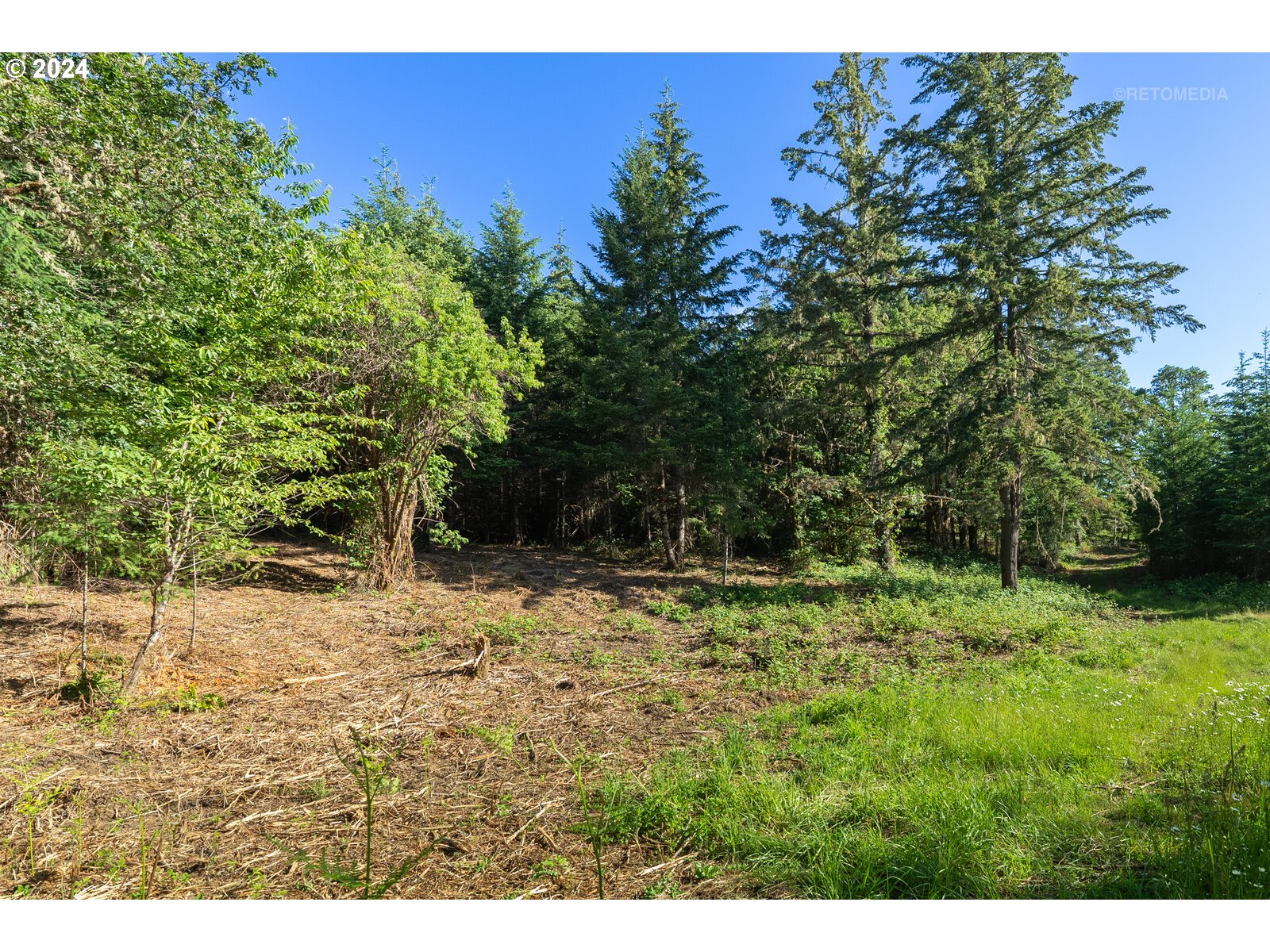 Roberts School Road Gaston, OR 97119 - Photo 27 of 37 a backyard of a house with a tree