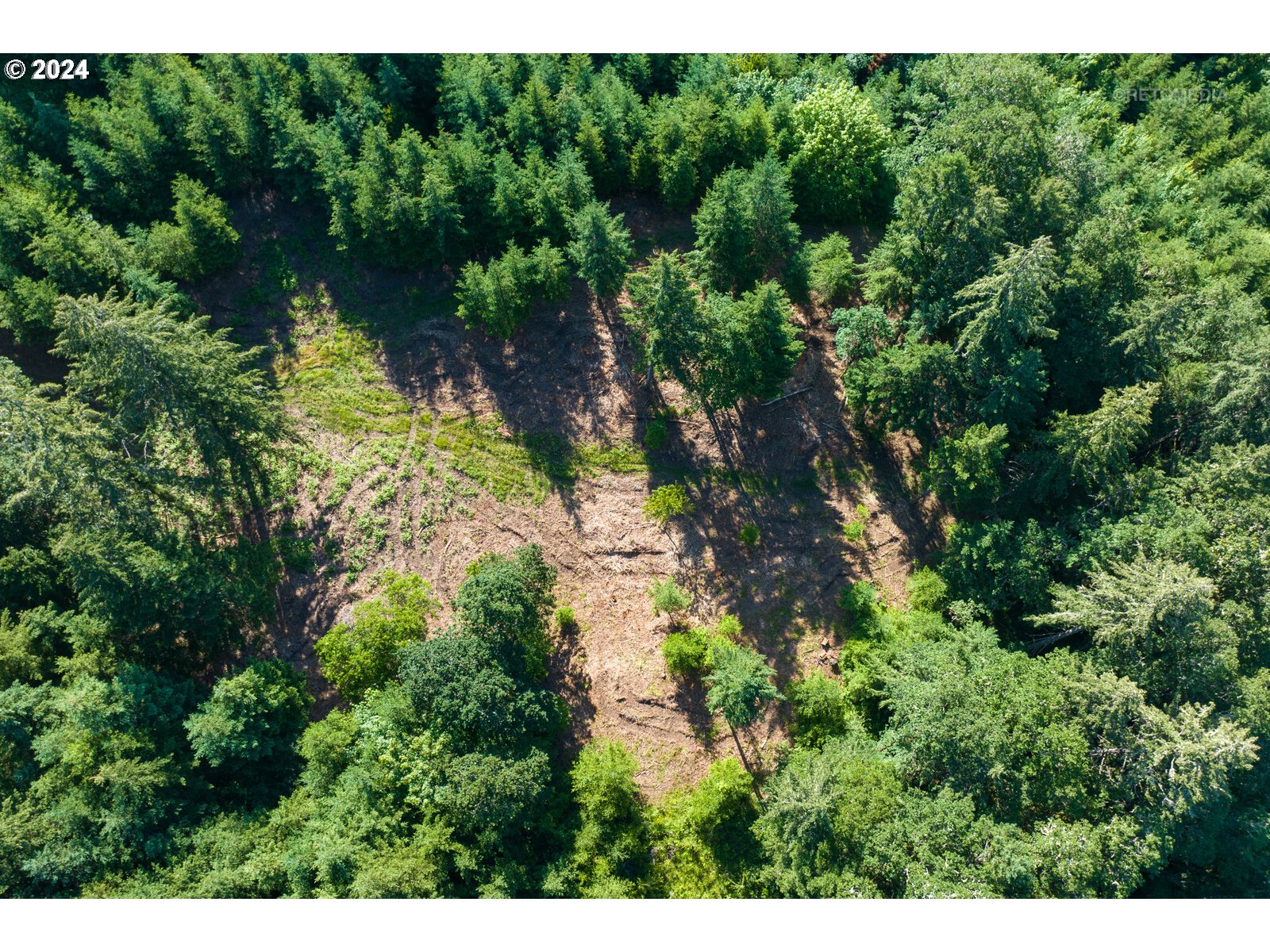 Roberts School Road Gaston, OR 97119 - Photo 30 of 37 a view of a lake with large trees