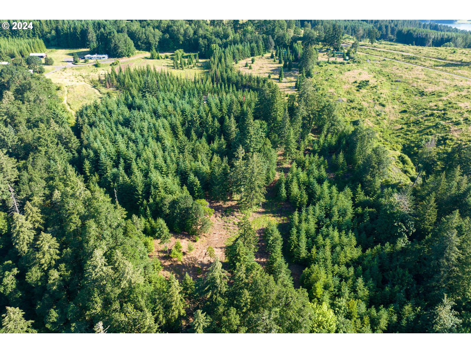 Roberts School Road Gaston, OR 97119 - Photo 32 of 37 a view of a garden with a lake