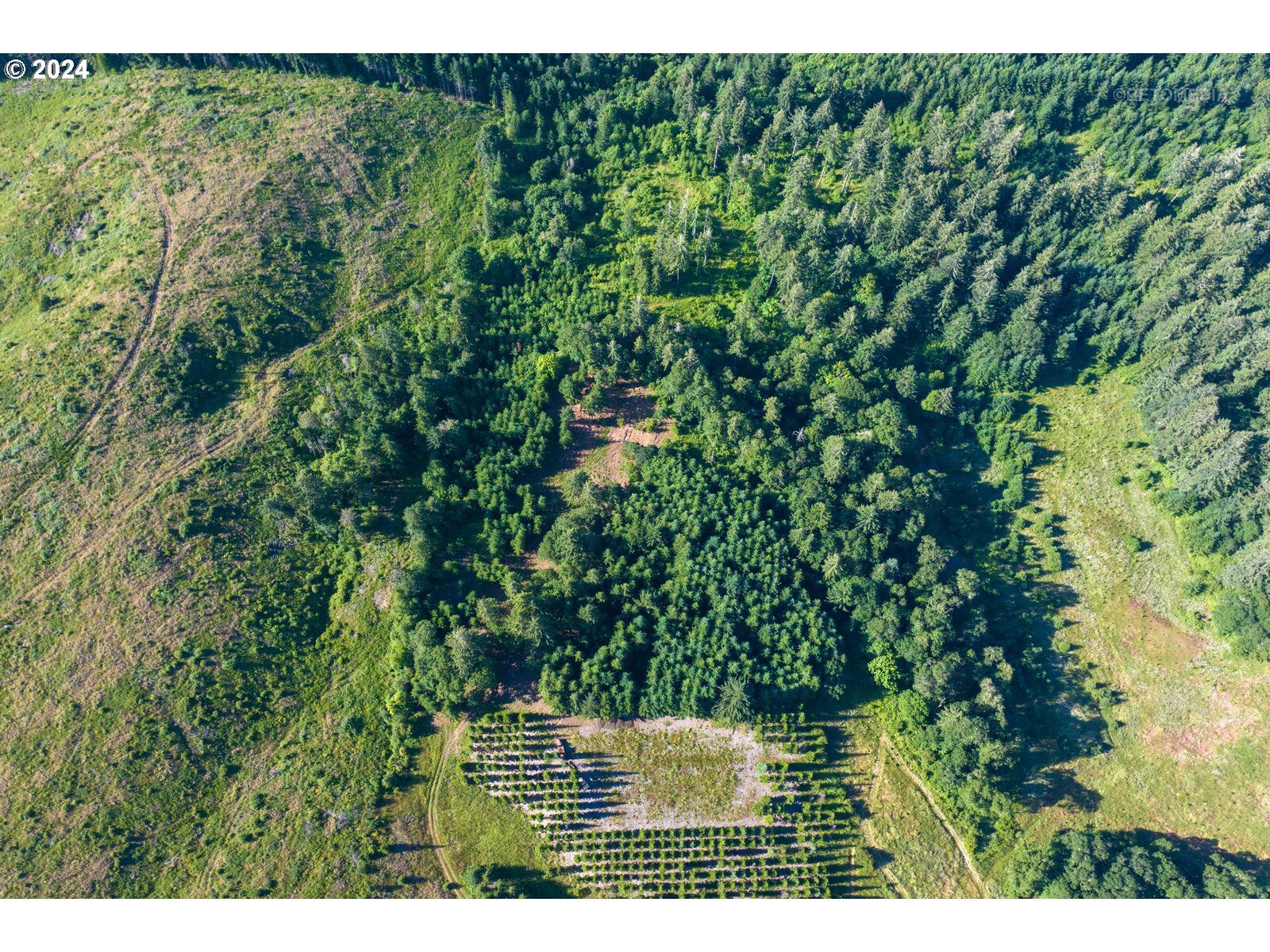 Roberts School Road Gaston, OR 97119 - Photo 8 of 37