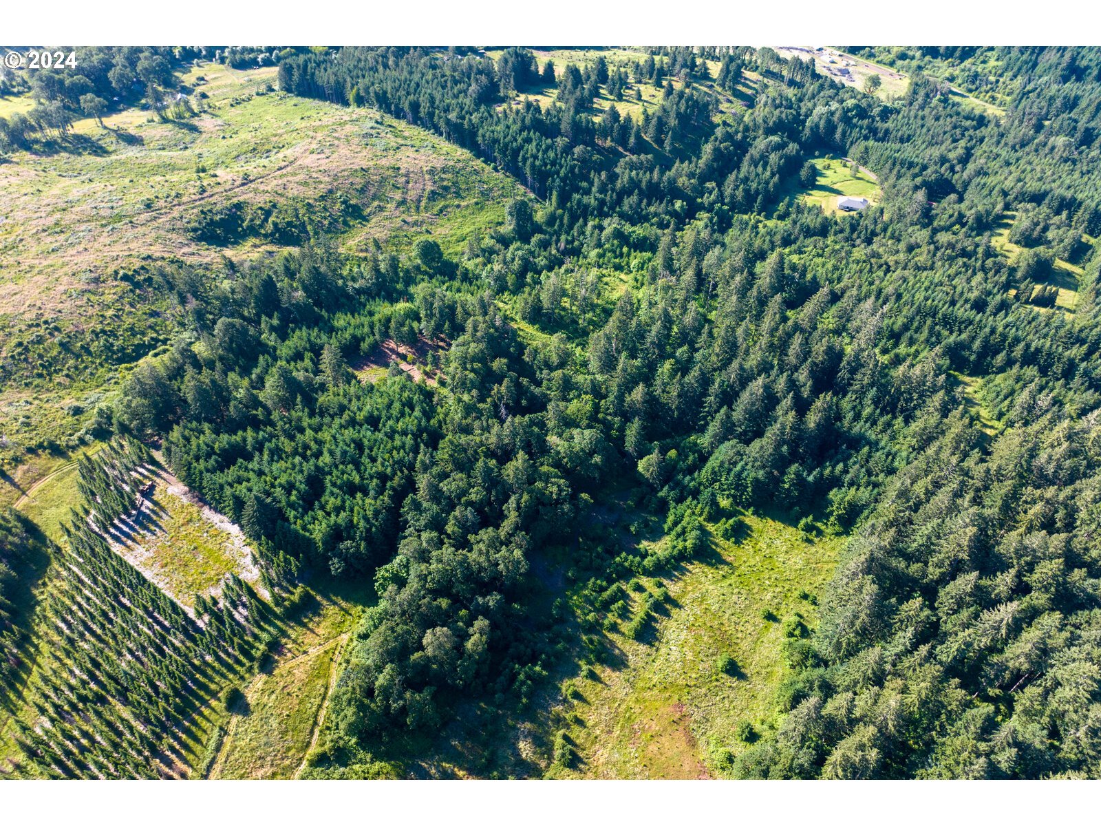 Roberts School Road Gaston, OR 97119 - Photo 10 of 37