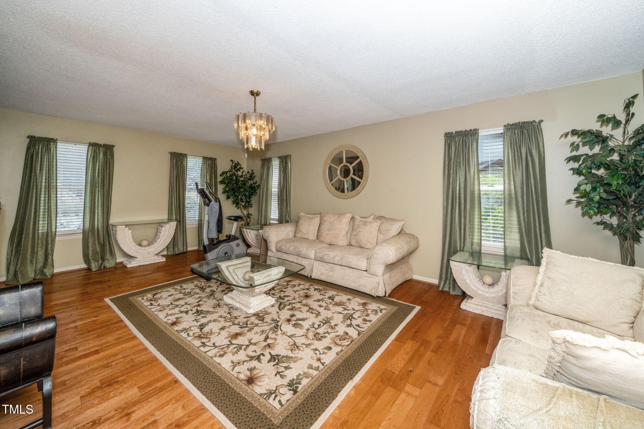 501 Dandelion Court Raleigh, NC 27610 - Photo 4 of 27 Family Room