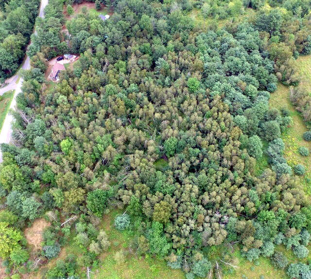 Lot 14 Pleasant View Ridge Road South China, ME 04358 - Photo 3 of 5 2