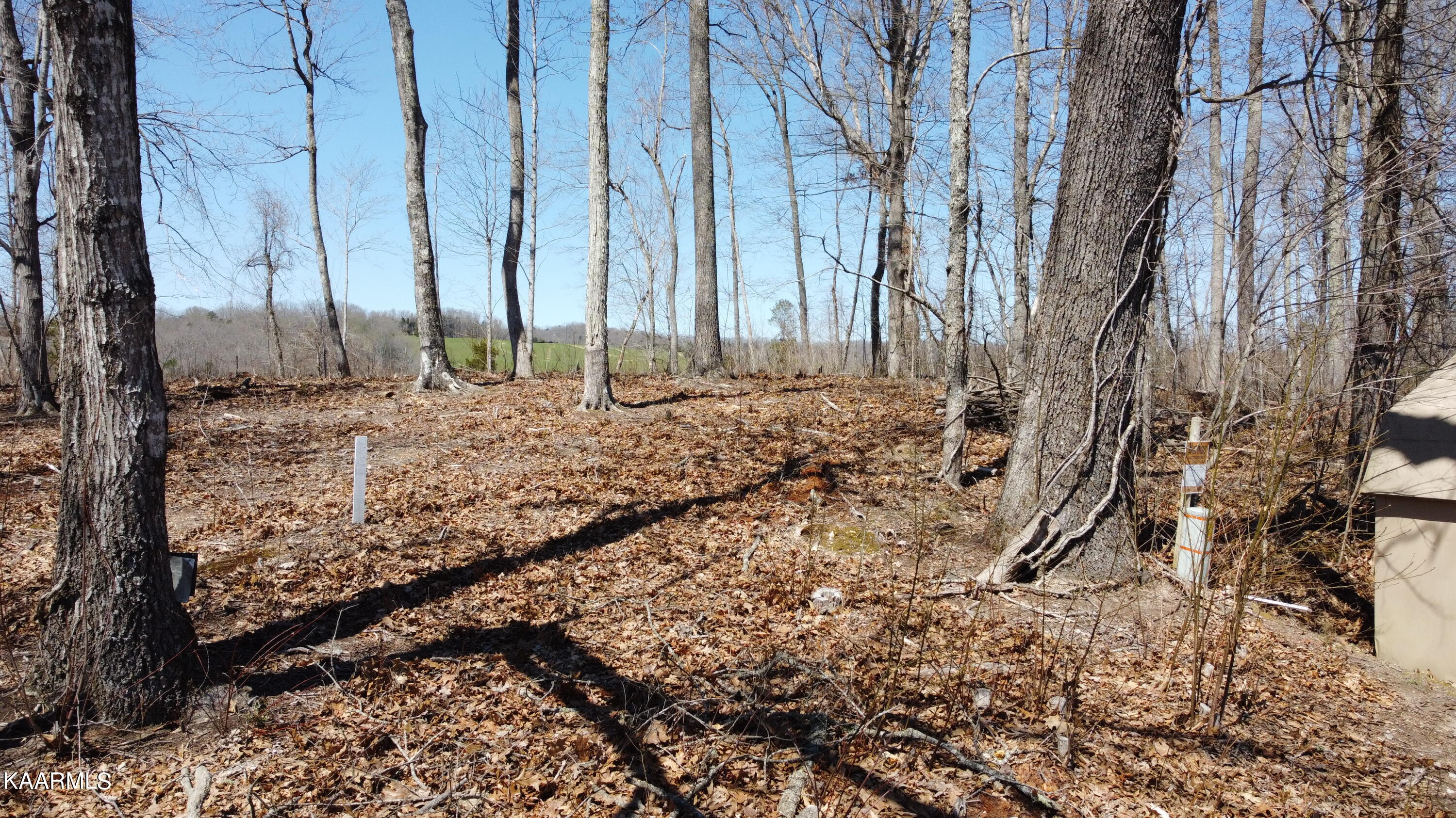 Sportsman Road Andersonville, TN 37705 - Photo 1 of 4 Front of Property