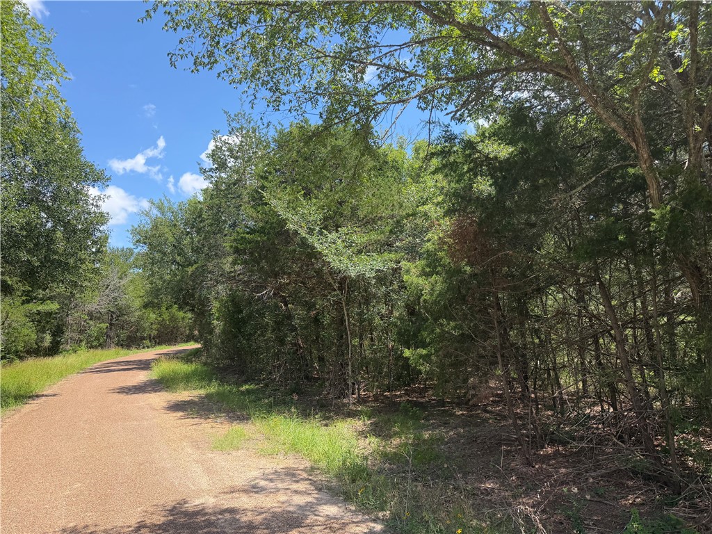 304 Overlook Loop Somerville, TX 77879 - Photo 8 of 17