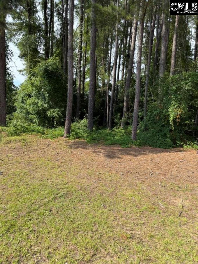 2140 Watersong Run Sumter, SC 29150 - Photo 4 of 5