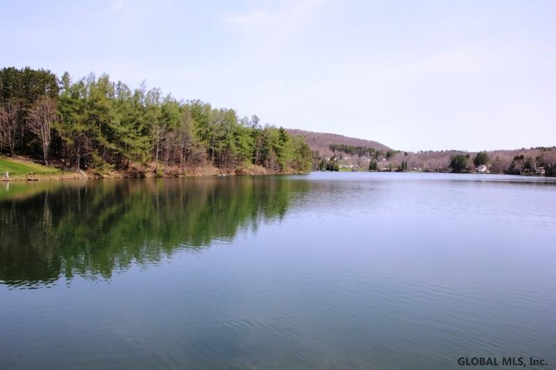 107 Sawyer Hollow Road Summit, NY 12175 - Photo 17 of 19 Photo 17