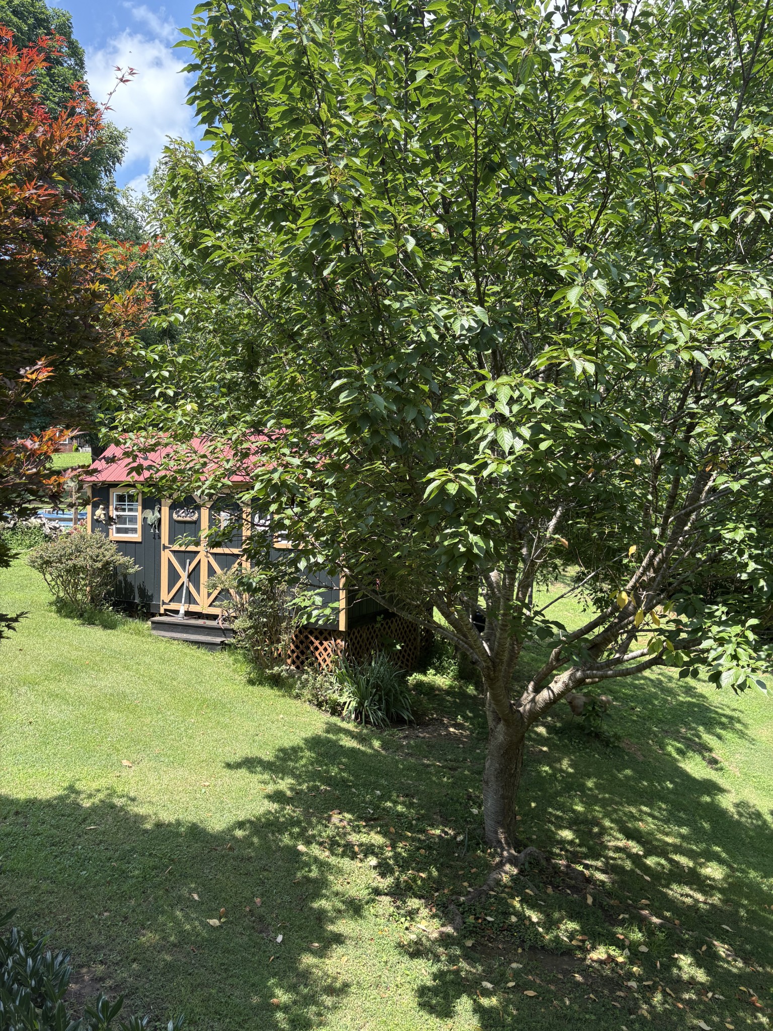 7604 Aubrey Ridge Court Fairview, TN 37062 - Photo 5 of 6