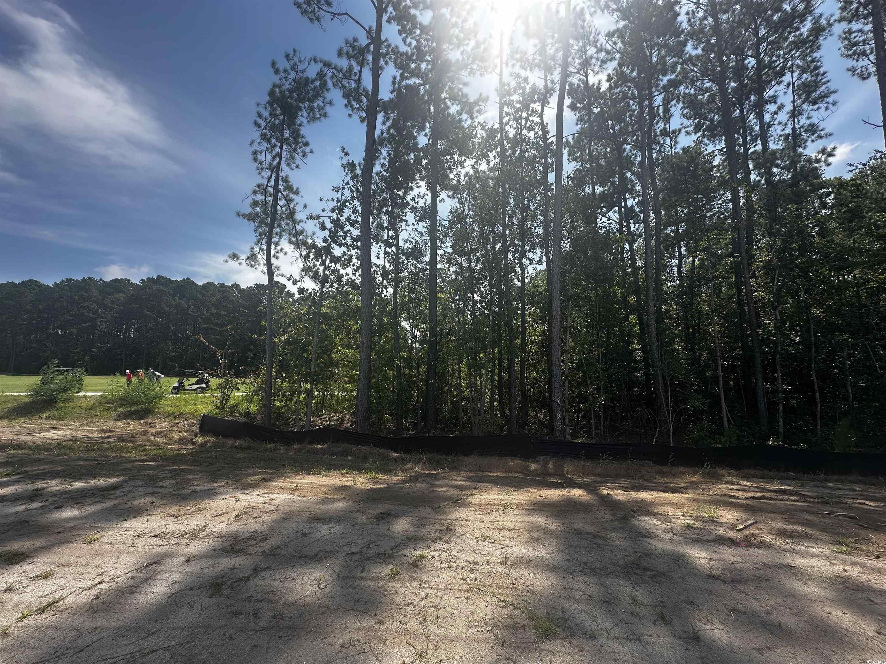408 Ireland Way, Unit 403 Murrells Inlet, SC 29576 - Photo 20 of 22 View of woods