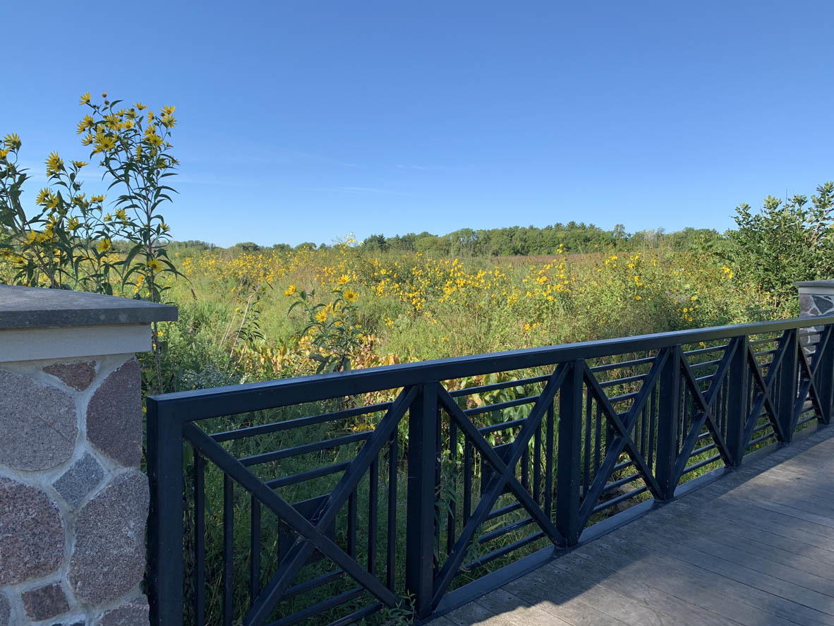 946 Eineke Boulevard Algonquin, IL 60102 - Photo 17 of 20