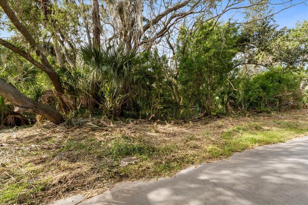 Pier Road New Port Richey, FL 34652 - Photo 2 of 17