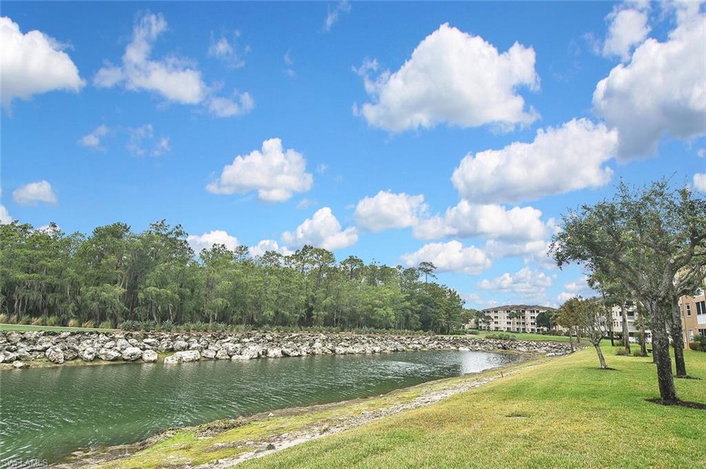 3830 Sawgrass Way, Unit 2946 Naples, FL 34112 - Photo 47 of 49 a view of a lake with houses in the background