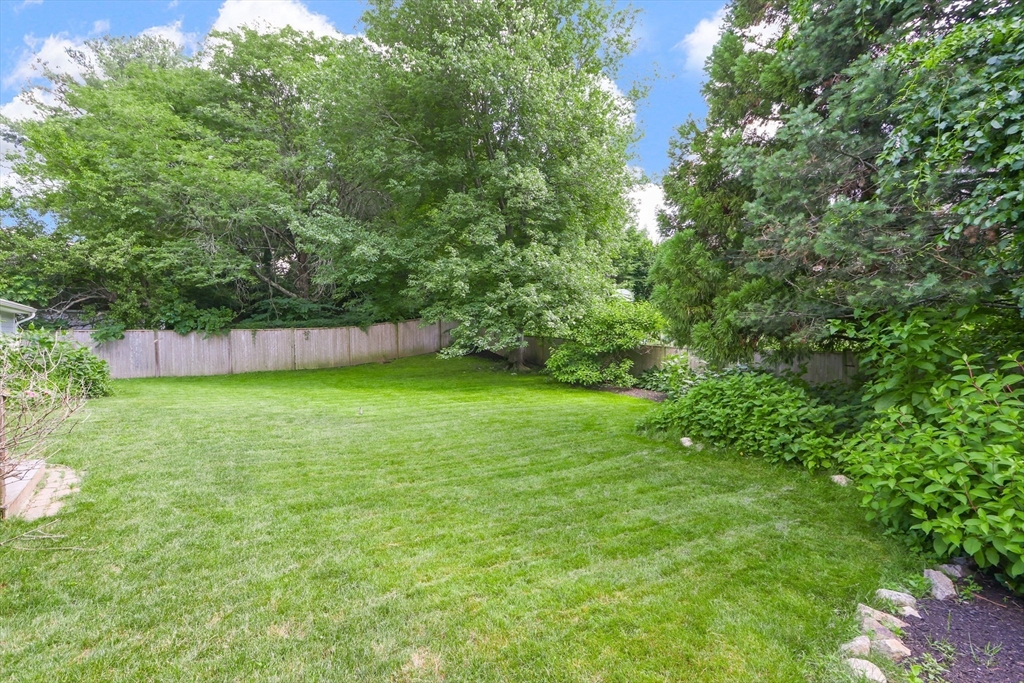 247 Greendale Avenue Needham, MA 02494 - Photo 27 of 33 a view of yard with green space