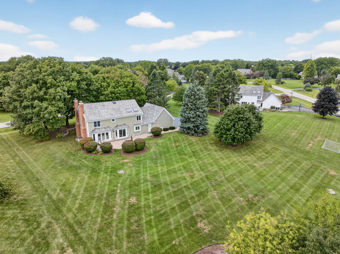 20633 North Primrose Court Deer Park, IL 60010 - Photo 38 of 43 a view of a big house with a big yard and large tree