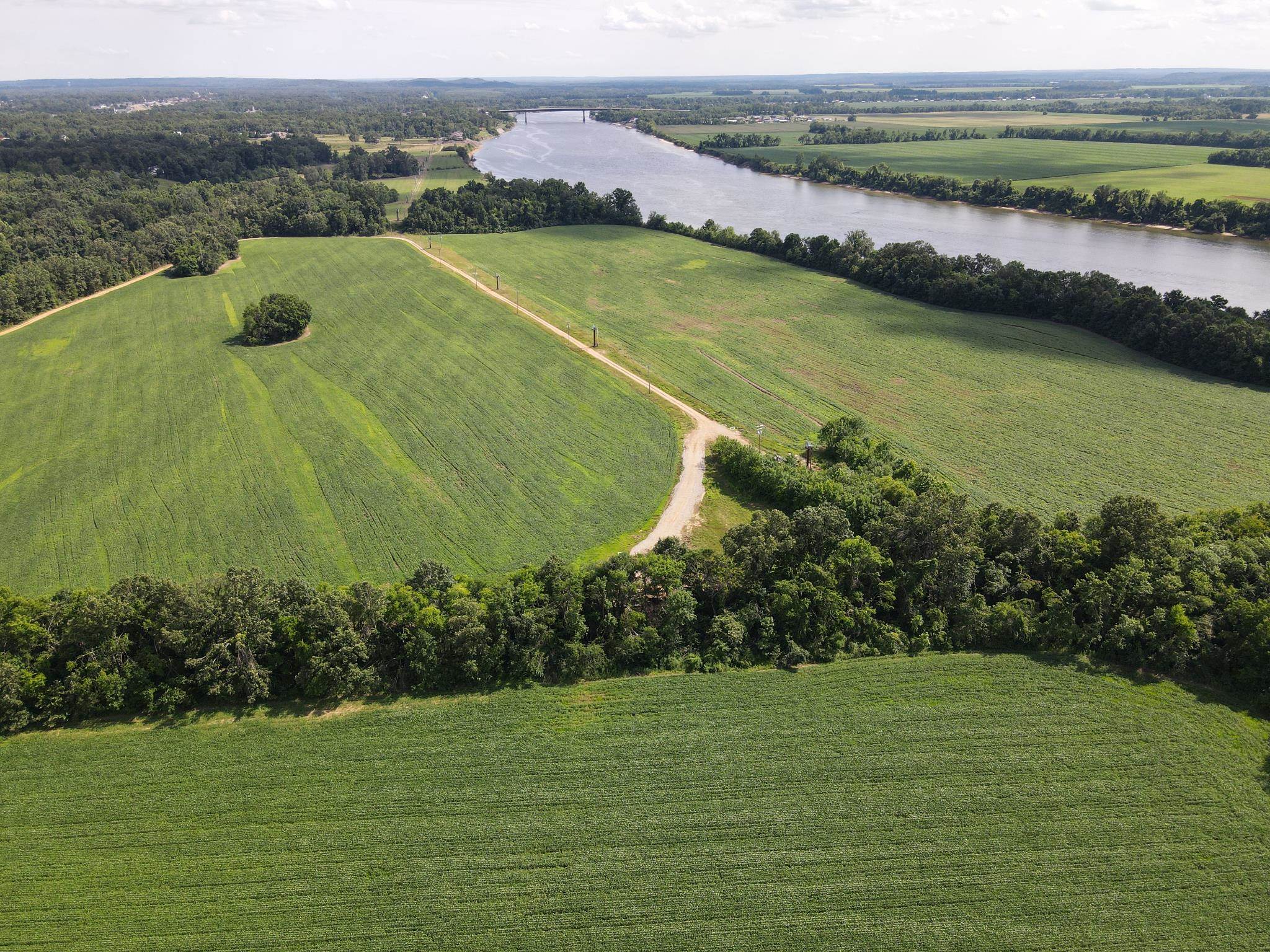 859 Cravens Road Savannah, TN 38372 - Photo 22 of 40 a view of a lake with a yard