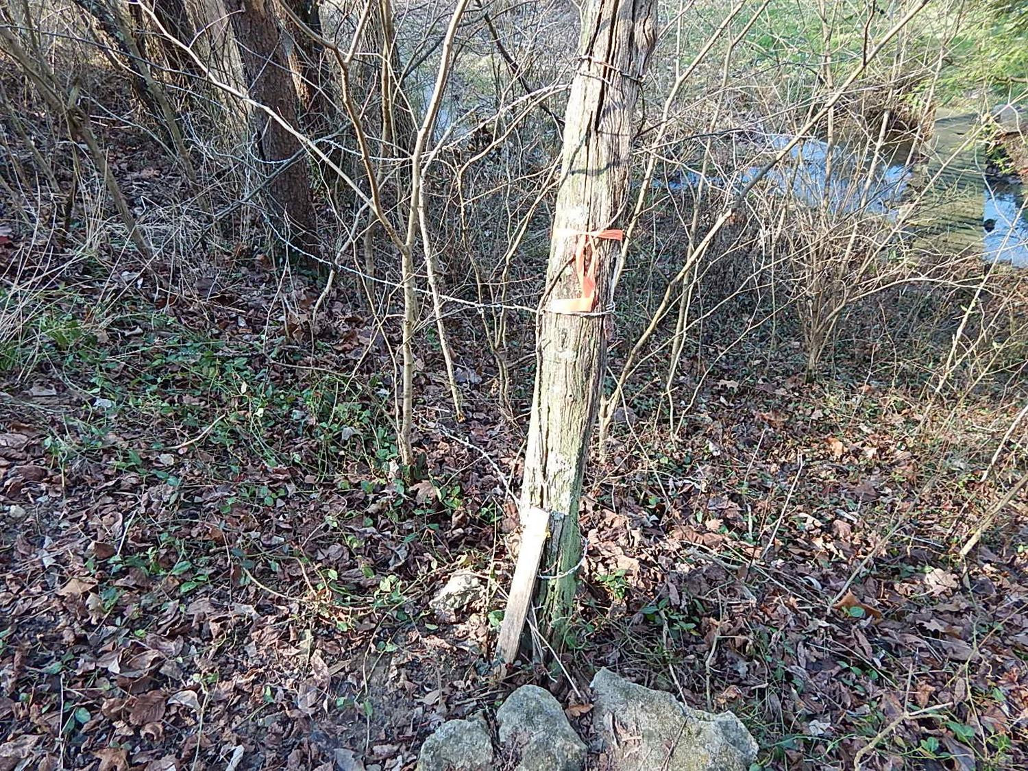 3991 Irvine Road Winchester, KY 40391 - Photo 18 of 61 Photo 18