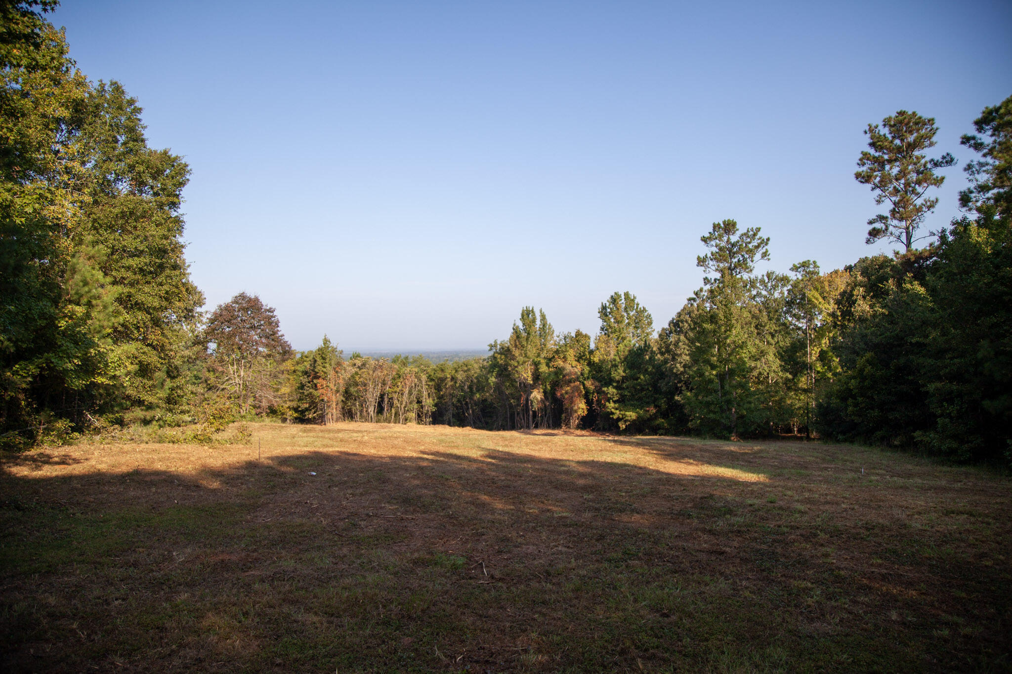 6330 Catchall Road Dalzell, SC 29040 - Photo 2 of 5 Gallery Image 2