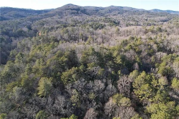 a view of mountain and trees