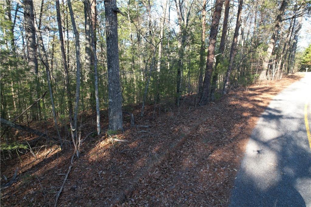 1 Miller Rock Road Ellijay, GA 30540 - Photo 8 of 11 a view of a forest with trees