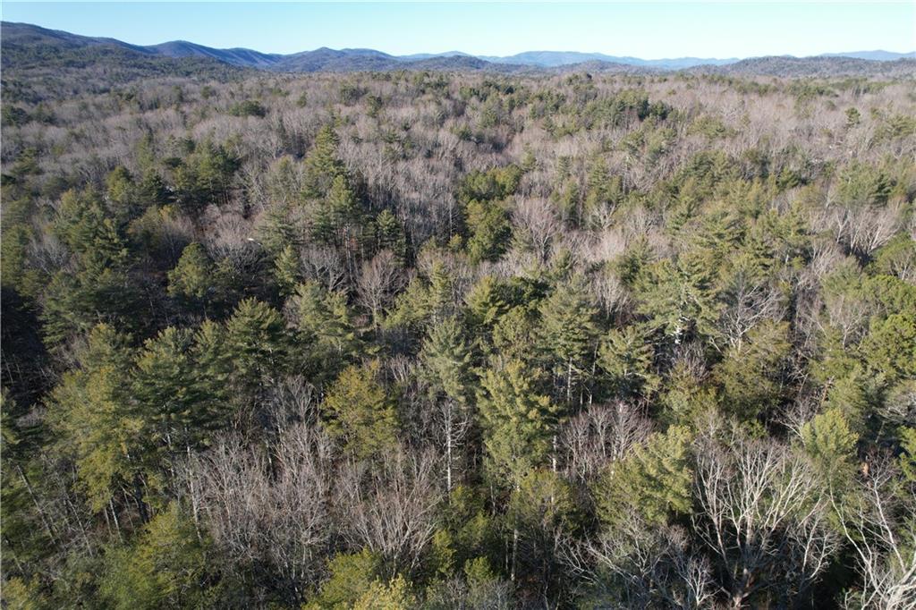 1 Miller Rock Road Ellijay, GA 30540 - Photo 9 of 11 a view of a lush green forest with lush green forest