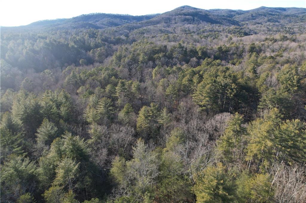 1 Miller Rock Road Ellijay, GA 30540 - Photo 10 of 11 a view of a dry yard