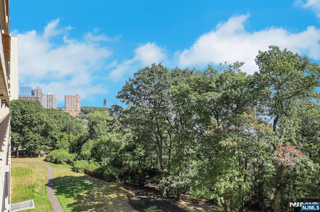 1 Horizon Road, Unit 609 Fort Lee, NJ 07024 - Photo 8 of 40 a view of a city with flower in between the buildings