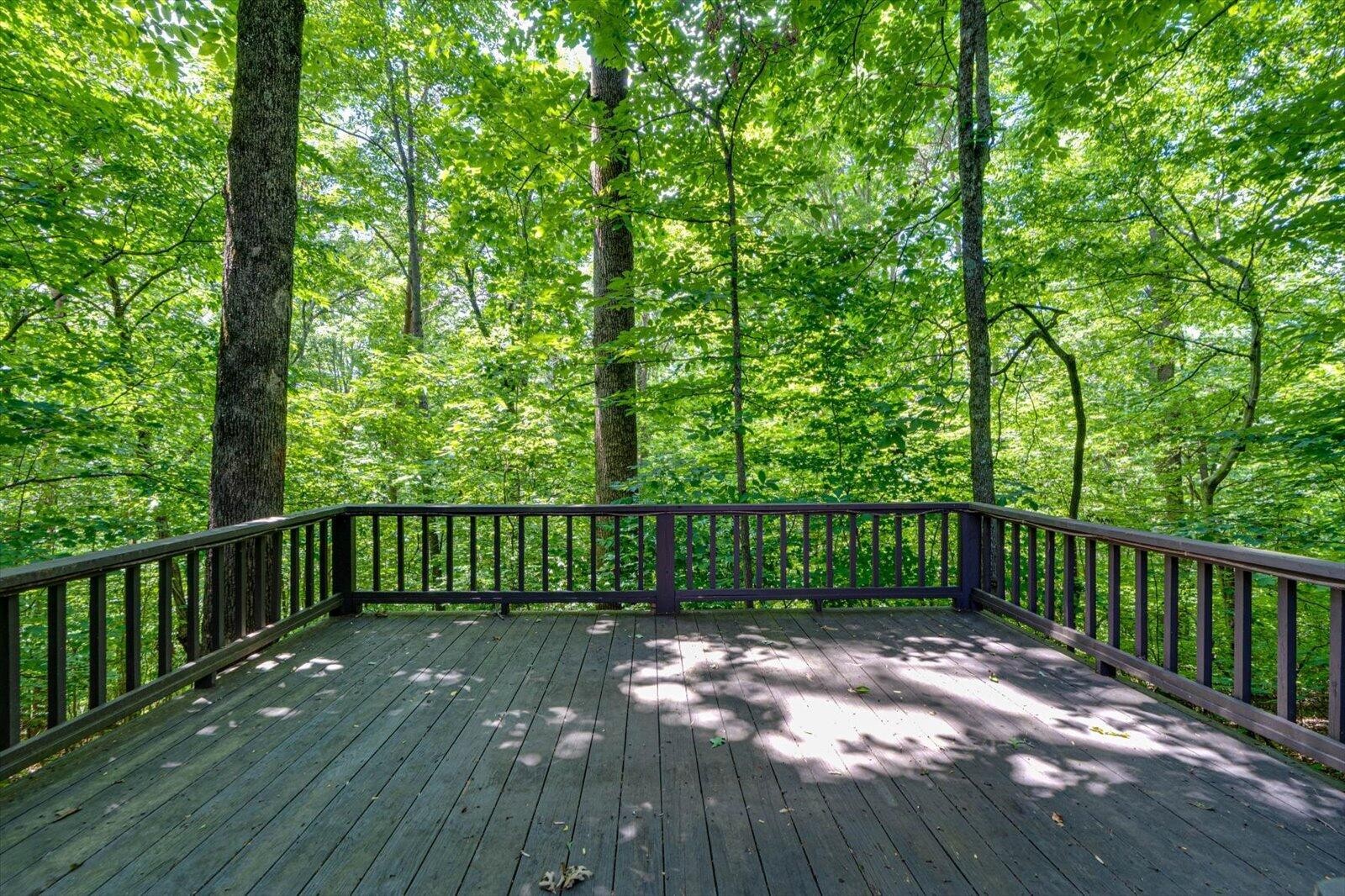 134 County Road 25 Riceville, TN 37370 - Photo 67 of 89