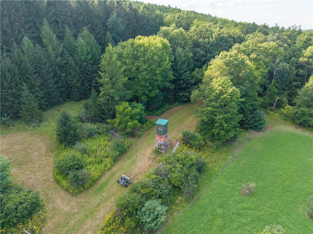 46 County Route Dansville, NY 14437 - Photo 13 of 50 Gallery Image 13