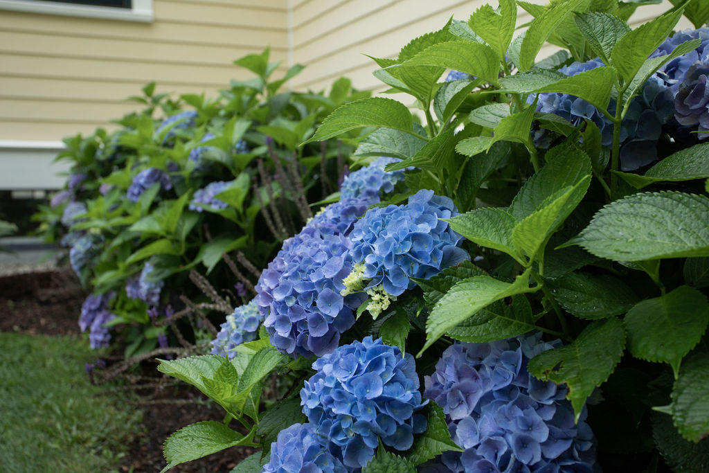 547 Haley Road Kittery Point, ME 03905 - Photo 38 of 50 547 Haley Road