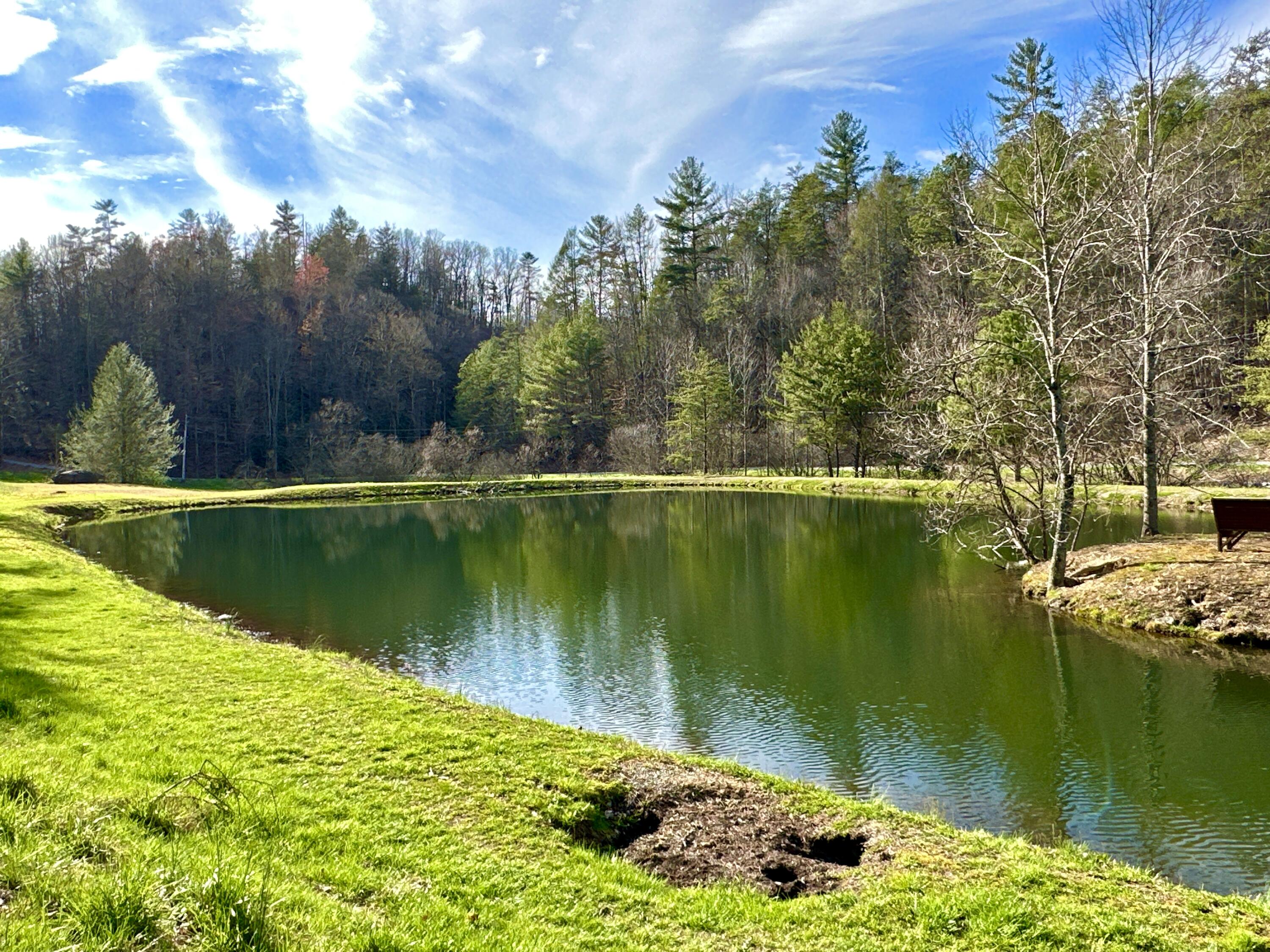 Lot No Lot Way, Unit 27 Del Rio, TN 37727 - Photo 8 of 15 IMG_013 Stocked Community Pond