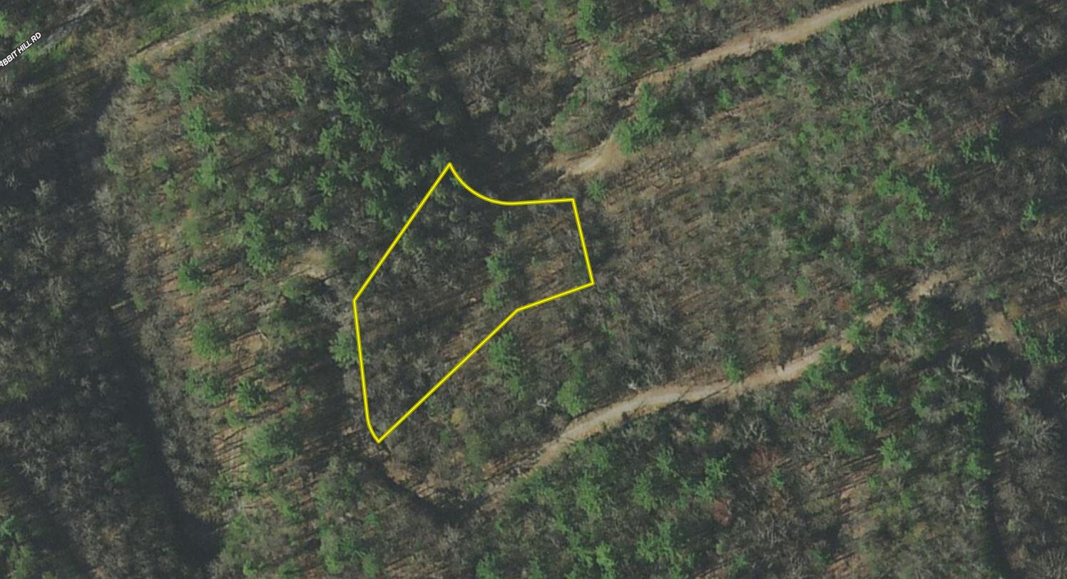 Lot No Lot Way, Unit 27 Del Rio, TN 37727 - Photo 10 of 15 Harts Crossing Sub_Lot #27_Aerial 1